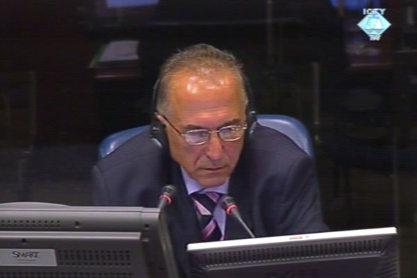 Sinisa Borovic, defence witness of Momcilo Perisic