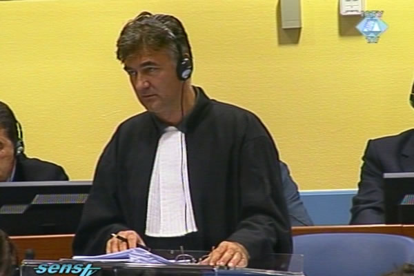 Branko Lukic, defence attorney of Ratko Mladic