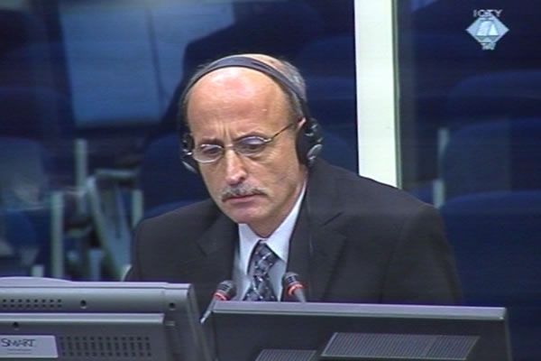 Tomislav Savkic, defence witness of Radovan Karadzic Tomislav Savkic, defence witness of Radovan Karadzic