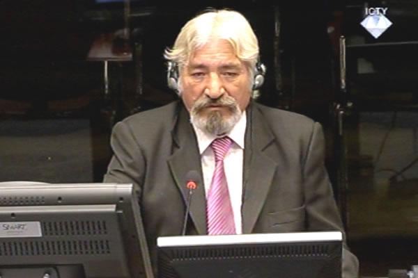 Desimir Sarenac, defence witness of Radovan Karadzic Desimir Sarenac, defence witness of Radovan Karadzic