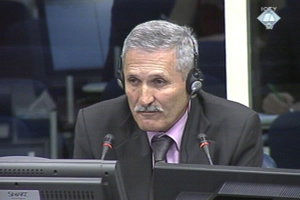 Cedomir Zelenovic, defence witness of Radovan Karadzic