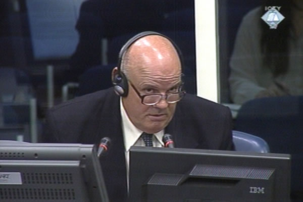 Marinko Vasilic, defence witness of Radovan Karadzic