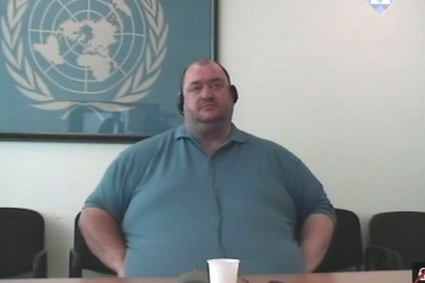 Bozidar Krnojelac, defence witness at Rako Mladic trial Bozidar Krnojelac, defence witness at Rako Mladic trial