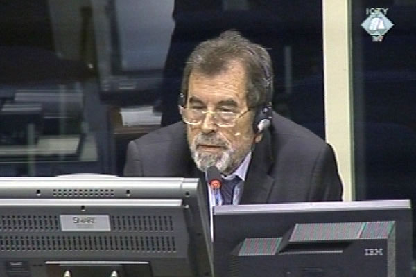 Savo Strbac, defence witness at Goran Hadzic trial