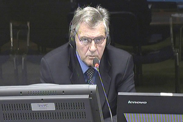 Radomir Radinkovic, defence witness at Rako Mladic trial