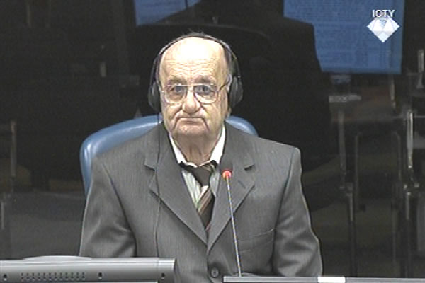 Nedeljko Trkulja, defence witness at Rako Mladic trial