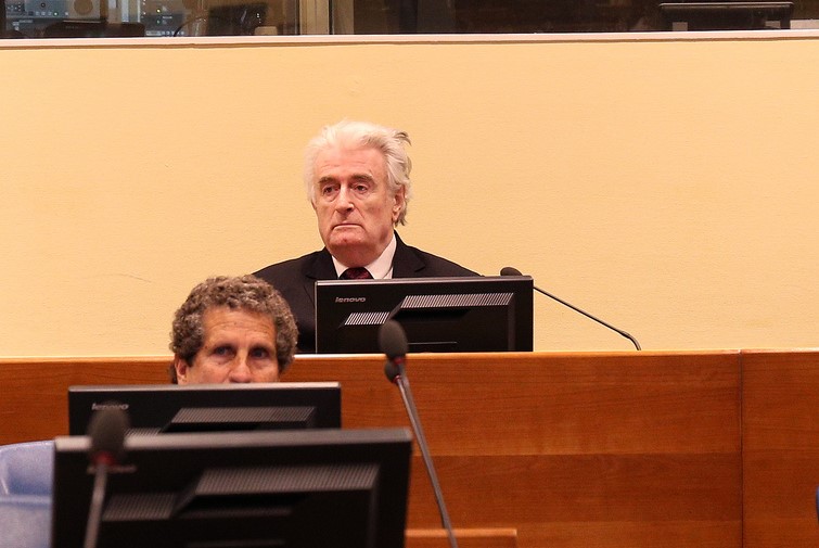 Radovan Karadžić, Appeal judgement pronouncement at the The International Residual Mechanism for Criminal Tribunals (IRMCT) Radovan Karadžić, Appeal judgement pronouncement at the The International Residual Mechanism for Criminal Tribunals (IRMCT)