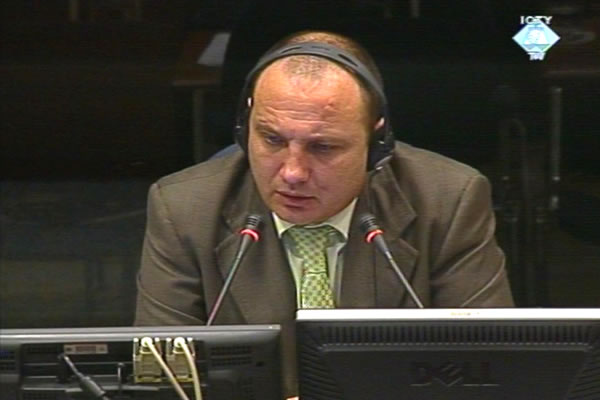 Goran Stoparic, witness in the Seselj trial